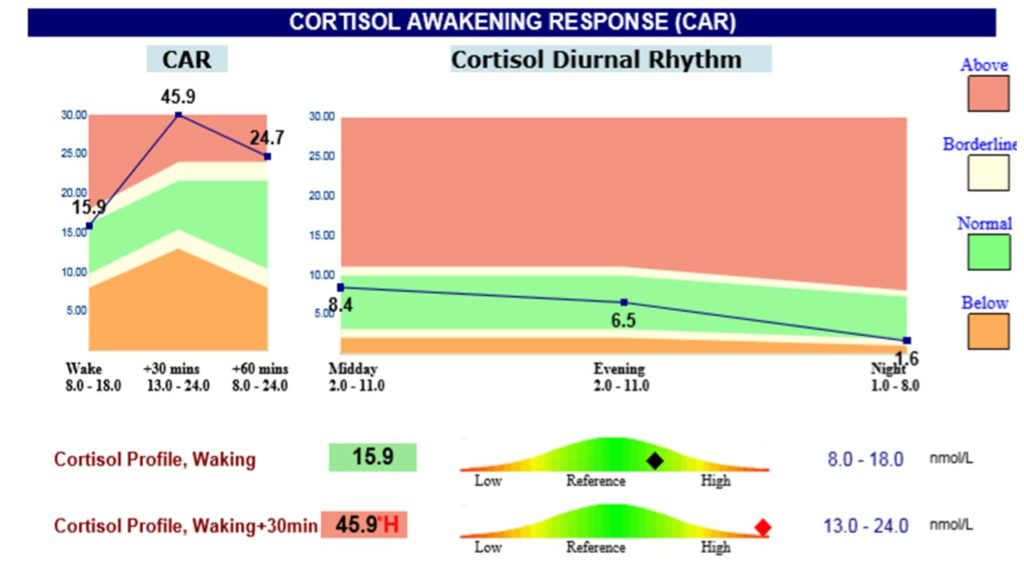 adrenal fatigue treatment and cortisol